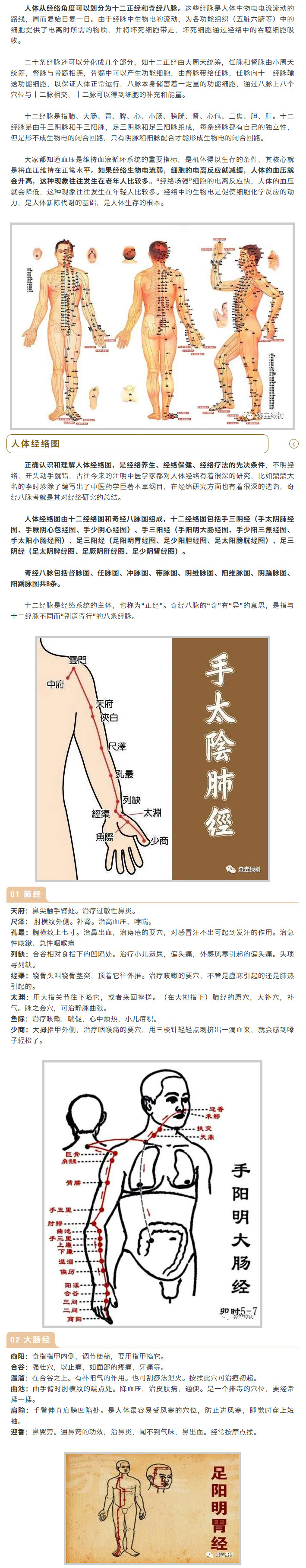电经4.jpg
