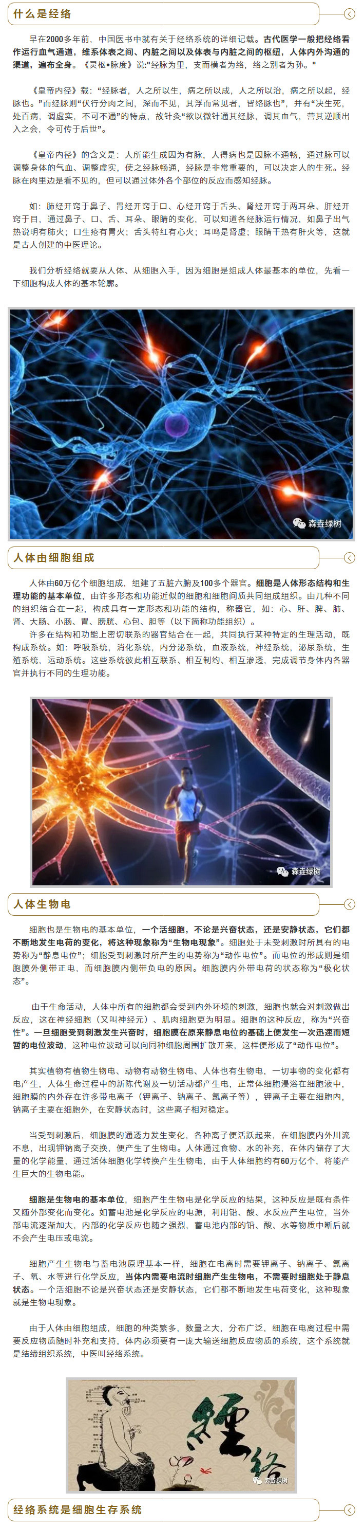 电经2.jpg