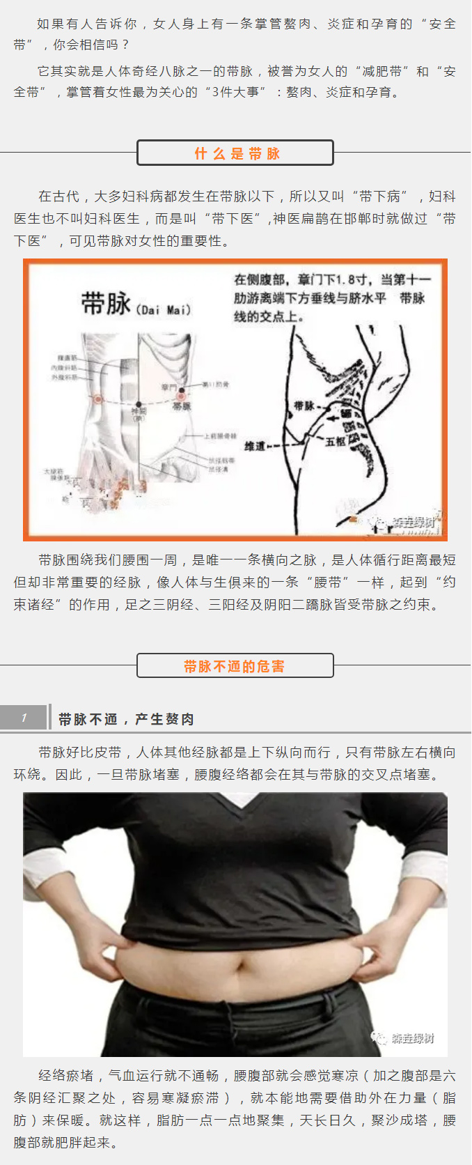 带2.jpg