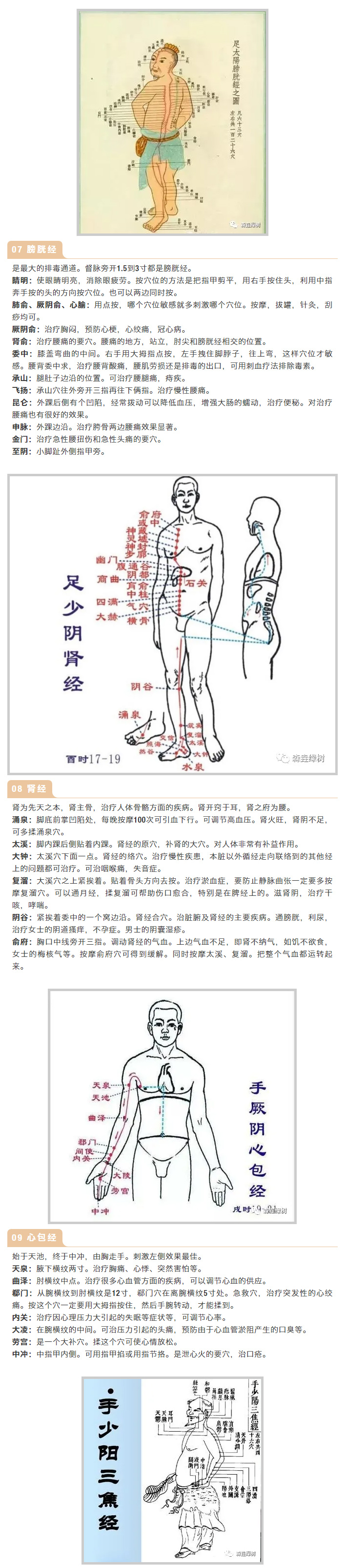 电经6.jpg